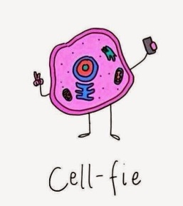 Cell-fie