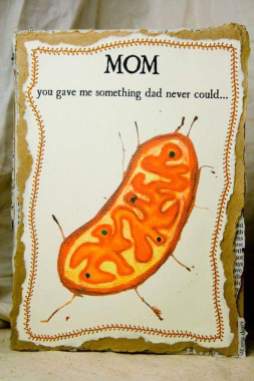 mitochondrio