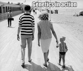 genetics everywhere