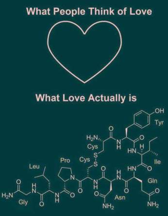 love?