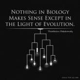 light of evolution