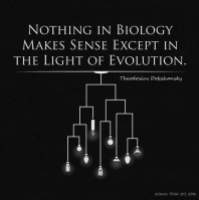light of evolution